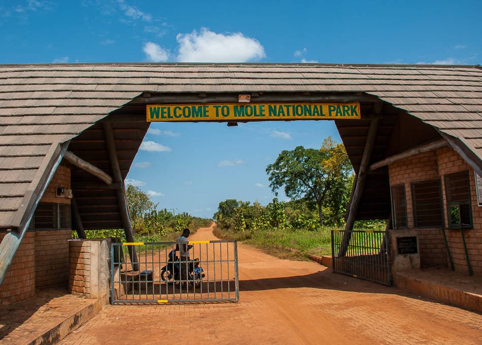 Wildlife Safari